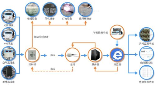 植物如何联网 从用wi fi控制捕蝇草说起