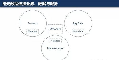 大数据治理技术核心 元数据管理架构设计